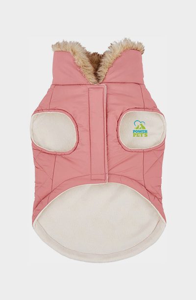 Frisco Aspen Insulated Quilted Dog & Cat Jacket with Bow - Image 3