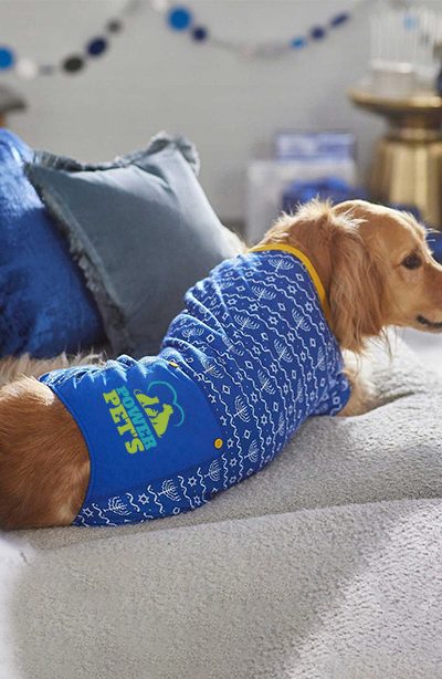 Pup Crew "Joy To The World" Dog & Cat Pajama - Image 3