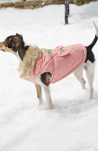 Frisco Aspen Insulated Quilted Dog & Cat Jacket with Bow - Image 5