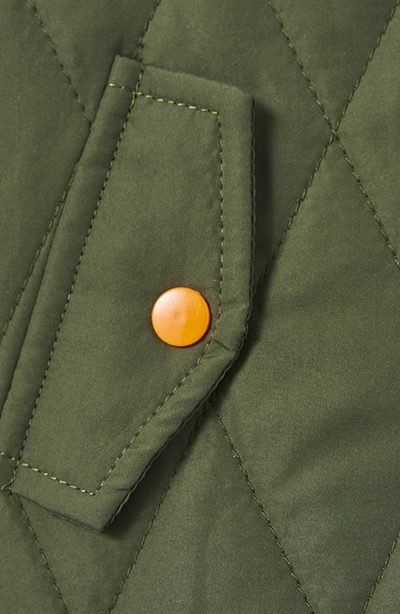 Frisco Insulated Quilted Bomber Dog & Cat Coat - Image 6